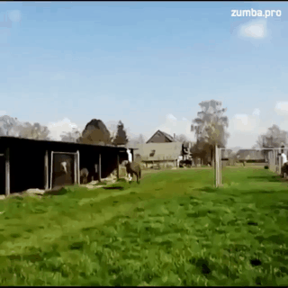 얘는 뭐지.gif | 인스티즈