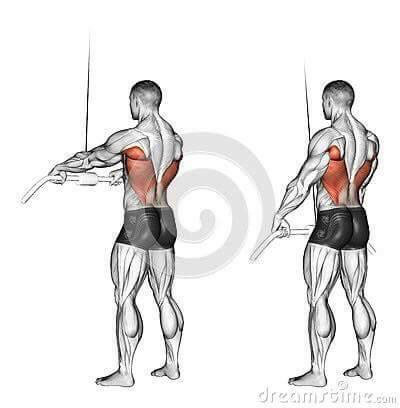 각 근육별 운동법.jpg | 인스티즈