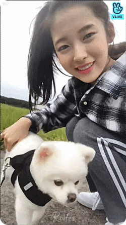 견주의 위엄을 보여주는 오마이걸 아린.gif | 인스티즈