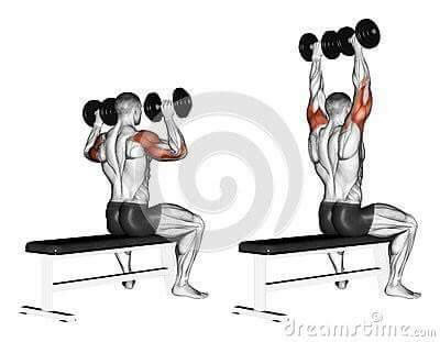 각 근육별 운동법.jpg | 인스티즈