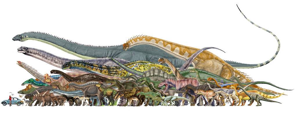 지구상 실존했던 거대 동물 vs 인간크기.jpg | 인스티즈