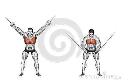 각 근육별 운동법.jpg | 인스티즈