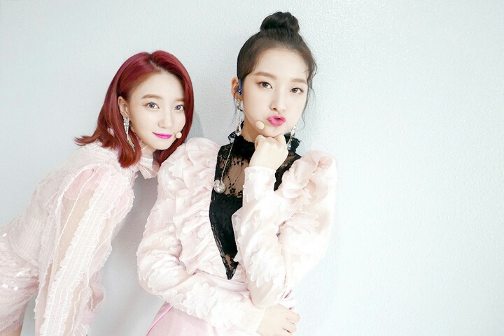 오마이걸 아린이는 몰랐던 비니의 등장.jpgif | 인스티즈