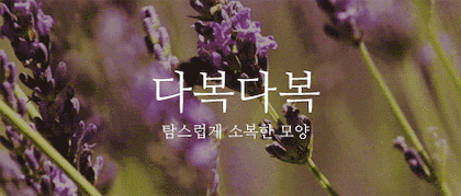 뜻이 이쁜 순우리말 모음.gif | 인스티즈