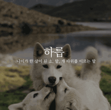 뜻이 이쁜 순우리말 모음.gif | 인스티즈