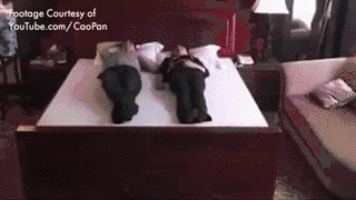 지진 대비용 침대.gif | 인스티즈