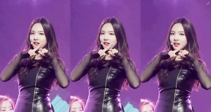 트와이스 두부 꾹꾹이 아기맹수 | 인스티즈