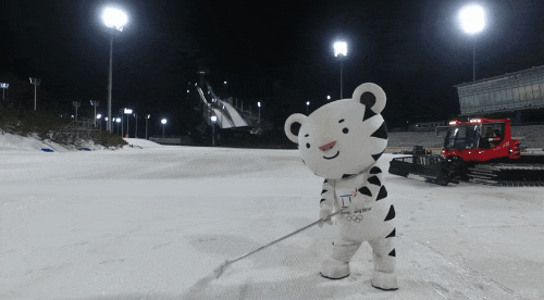 열일하다가 멘붕온 수호랑 | 인스티즈