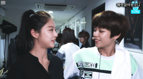 유자매 | 인스티즈