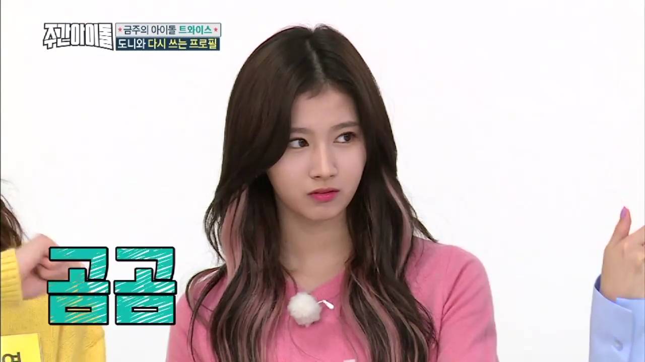 [주간아이돌] 트와이스 외국인 멤버들이 생각하는 칼로 ㅁ 베기 (살벌함 주의) | 인스티즈