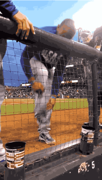 희소성에 대한 개념을 잘 모르는 게 분명한 운동선수들 .gif | 인스티즈