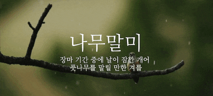 뜻이 이쁜 순우리말 모음.gif | 인스티즈