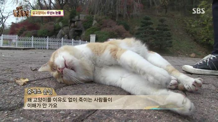 눈앞에서 제 아이가 맞아죽었습니다. 도와주세요 | 인스티즈