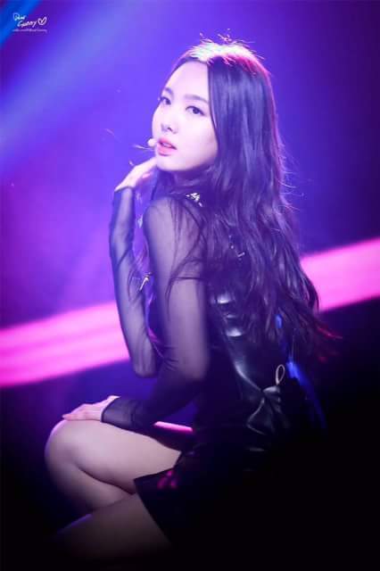 트와이스 두부 꾹꾹이 아기맹수 | 인스티즈