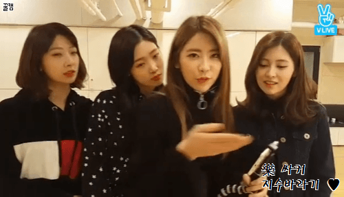 [다이아] 170106 V앱 꽁냥꽁냥 초밀착 GIF (빈챈현스) | 인스티즈