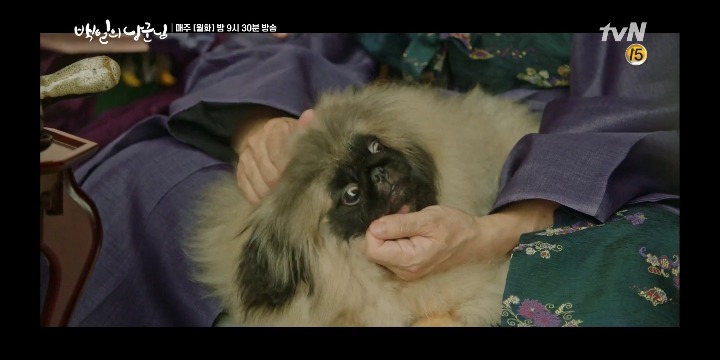 [백일의낭군님] 오늘자 보는사람 놀라게한 드라마 속 댕댕이 | 인스티즈