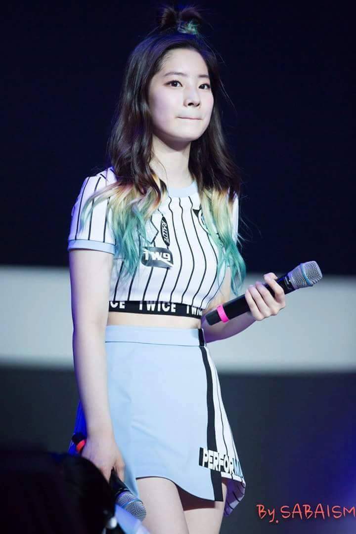 트와이스 두부 꾹꾹이 아기맹수 | 인스티즈