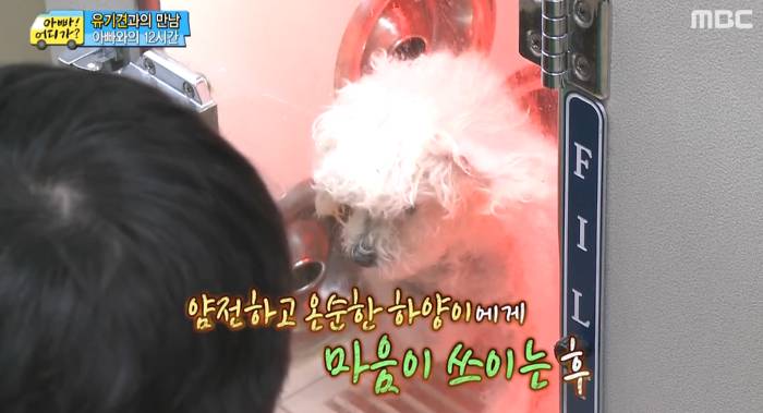 [아빠어디가] 유기견을 대하는 윤후의 태도 .jpg | 인스티즈