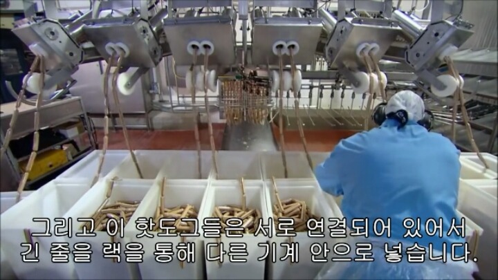 핫도그 소시지가 만들어지는 과정-1 | 인스티즈