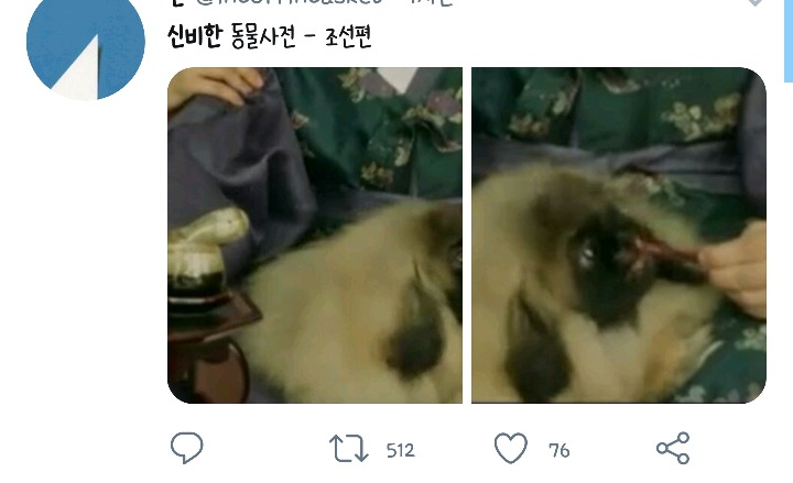[백일의낭군님] 오늘자 보는사람 놀라게한 드라마 속 댕댕이 | 인스티즈
