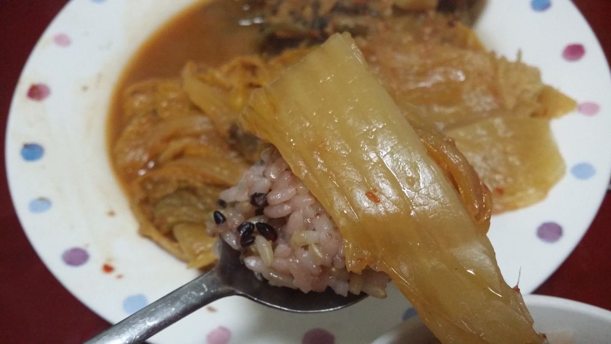 자취하는 여자가 한 요리 입니다! 다들 구경오세요 | 인스티즈