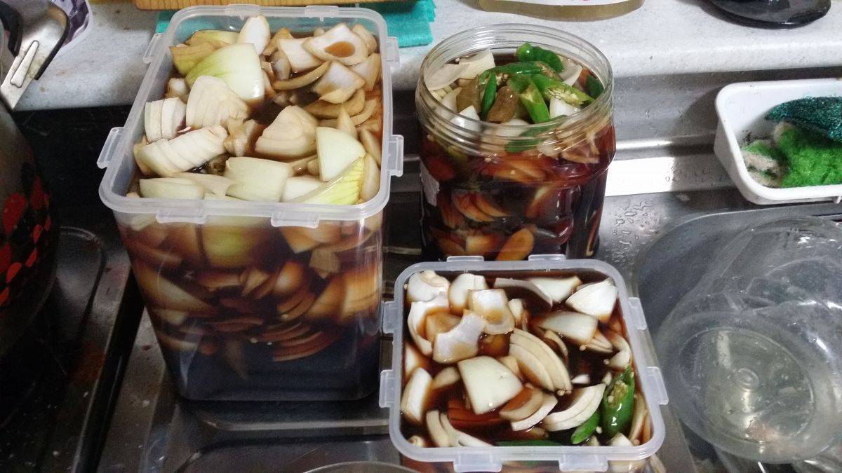 자취하는 여자가 한 요리 입니다! 다들 구경오세요 | 인스티즈