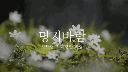 뜻이 이쁜 순우리말 모음.gif | 인스티즈