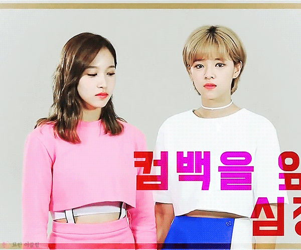 [트와이스] 앙탈+애교부리는 묘이 미나양 | 인스티즈