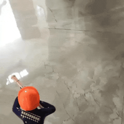 총에 난사당하는 강아지 | 인스티즈