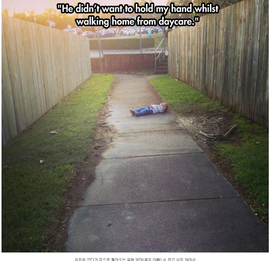 애기들이 우는 이유 | 인스티즈