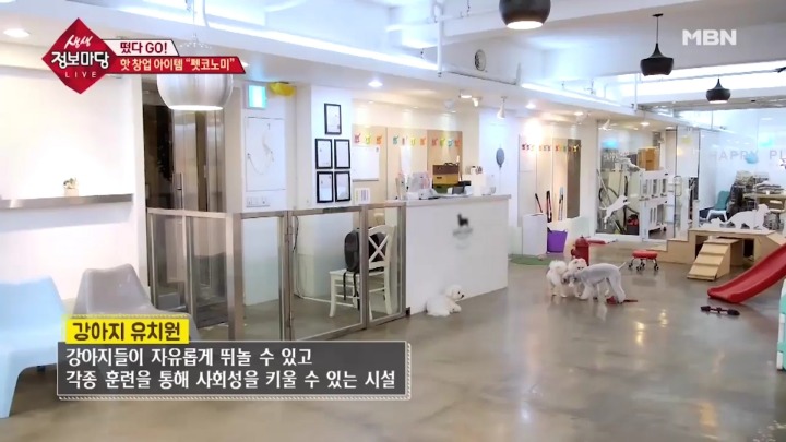 겁나 체계적인 강아지 유치원.jpg | 인스티즈