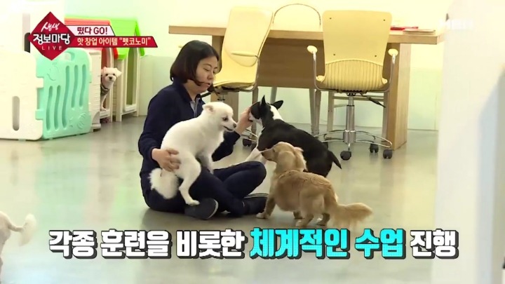 겁나 체계적인 강아지 유치원.jpg | 인스티즈