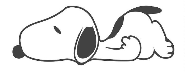 견종 이야기 - 비글 | 인스티즈