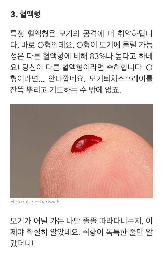 모기에 많이 물리는 케이스 | 인스티즈