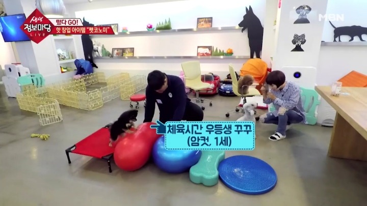 겁나 체계적인 강아지 유치원.jpg | 인스티즈