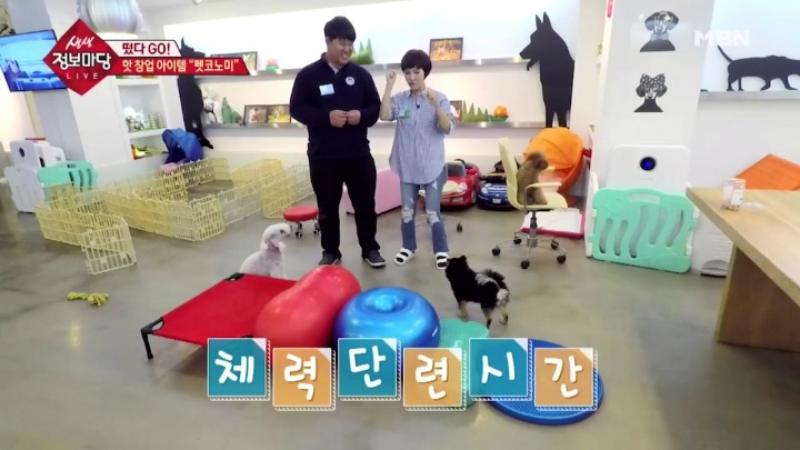 겁나 체계적인 강아지 유치원.jpg | 인스티즈