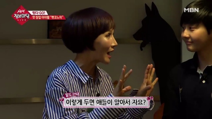 겁나 체계적인 강아지 유치원.jpg | 인스티즈