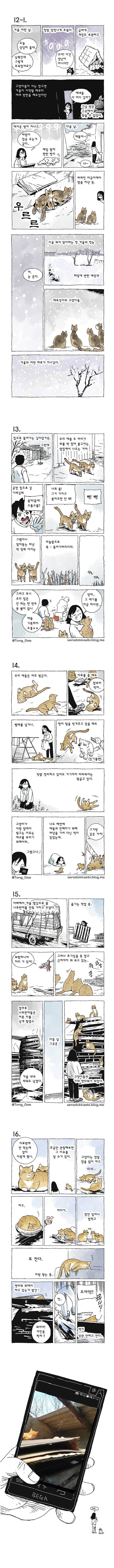 고양이 여덟마리와 살았다 | 인스티즈