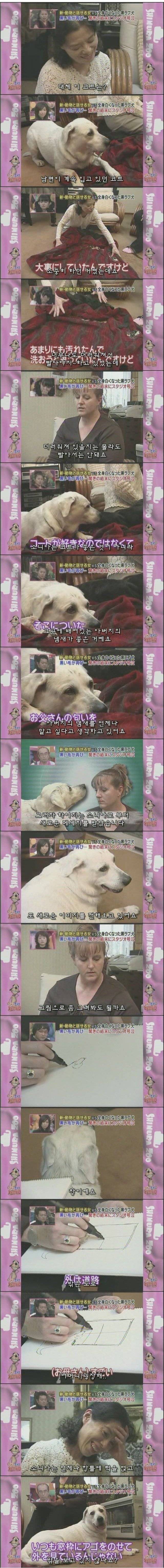흰색으로 변해버린 강아지 소니아.jpg | 인스티즈