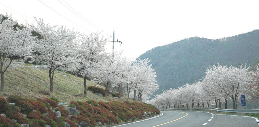 대한민국 최고의 드라이브코스들 총망라 | 인스티즈