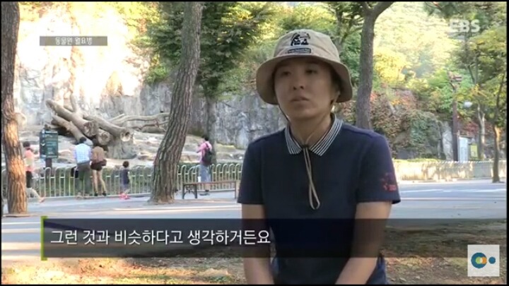 동물원 동물들이 월요병 생기는 이유 | 인스티즈