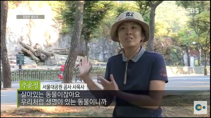 동물원 동물들이 월요병 생기는 이유 | 인스티즈