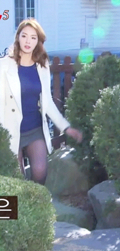 연예인 검스 | 인스티즈