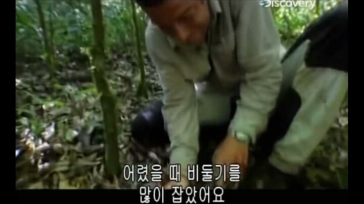 베어그릴스의 어릴적 업적.jpg | 인스티즈