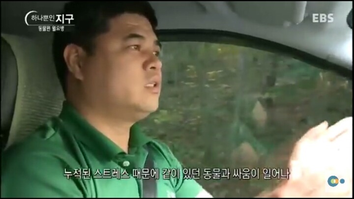 동물원 동물들이 월요병 생기는 이유 | 인스티즈