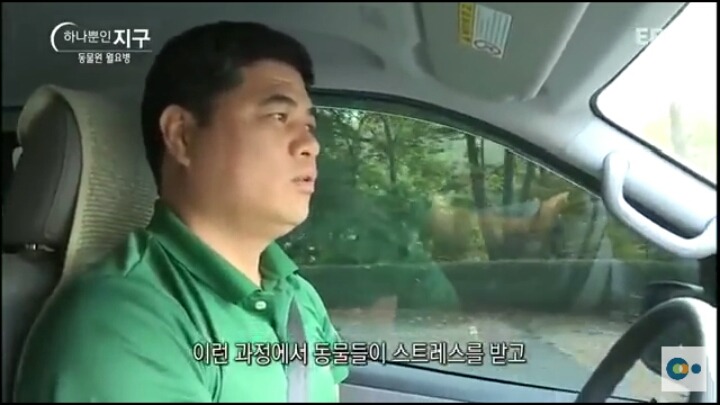 동물원 동물들이 월요병 생기는 이유 | 인스티즈