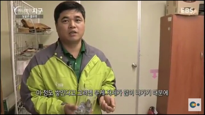 동물원 동물들이 월요병 생기는 이유 | 인스티즈