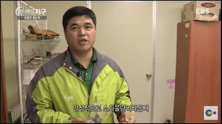 동물원 동물들이 월요병 생기는 이유 | 인스티즈