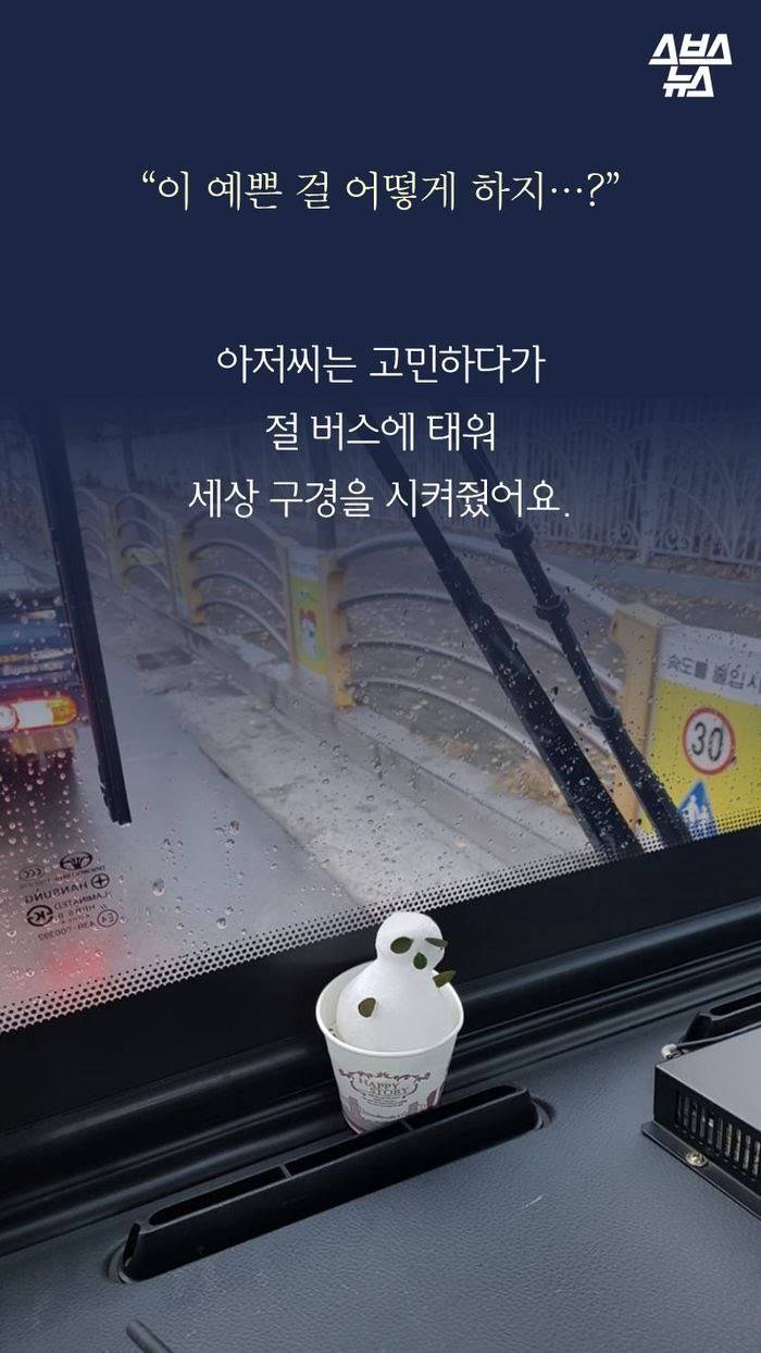 대구에서 제일 귀엽다는 버스기사 | 인스티즈