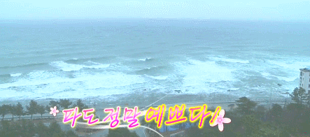 베란다에서 자는 솔비.gif | 인스티즈